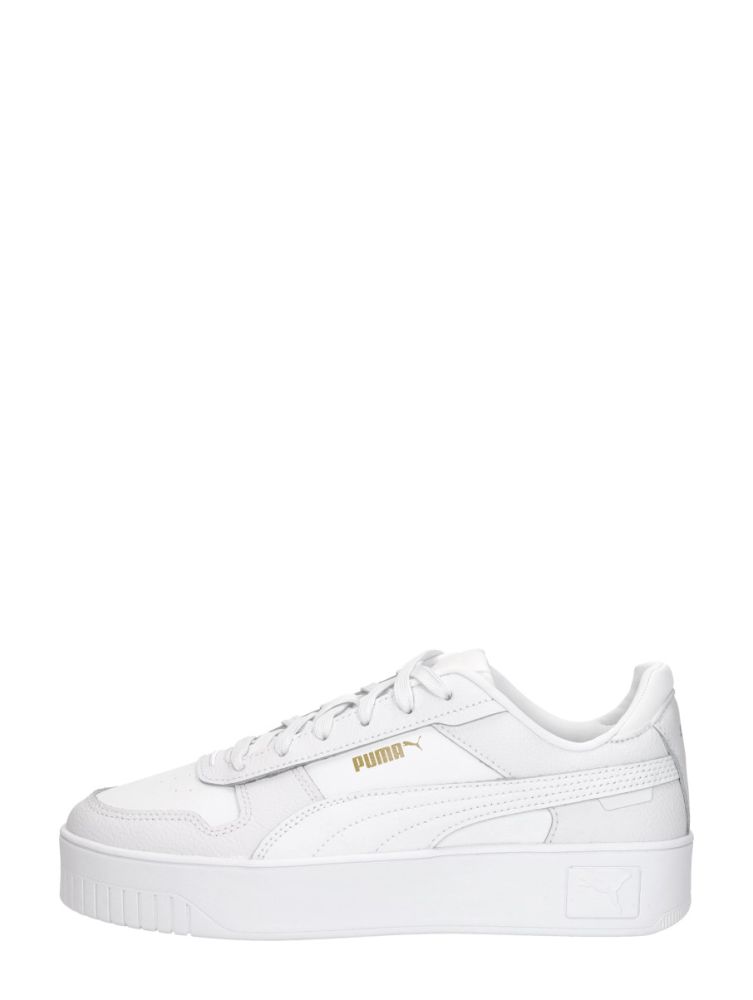 Puma Carina Street